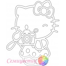 Китти с фотиком